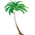 Palm Design